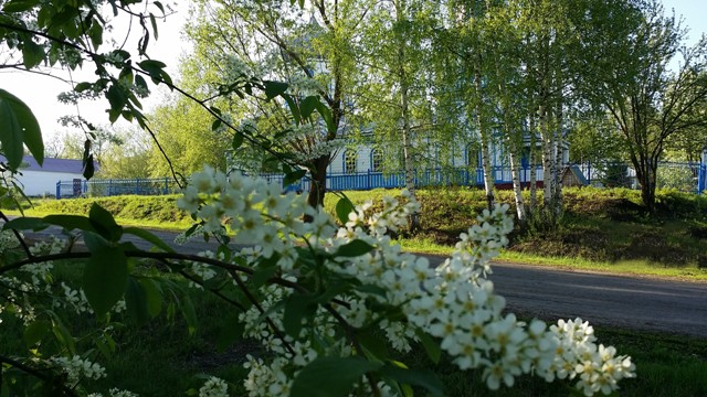 Никулино 2.jpg